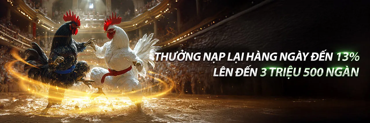 Đá Gà Trực Tuyến C1668 2026